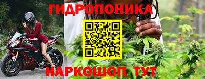 PSILOCYBIN Чапаевск