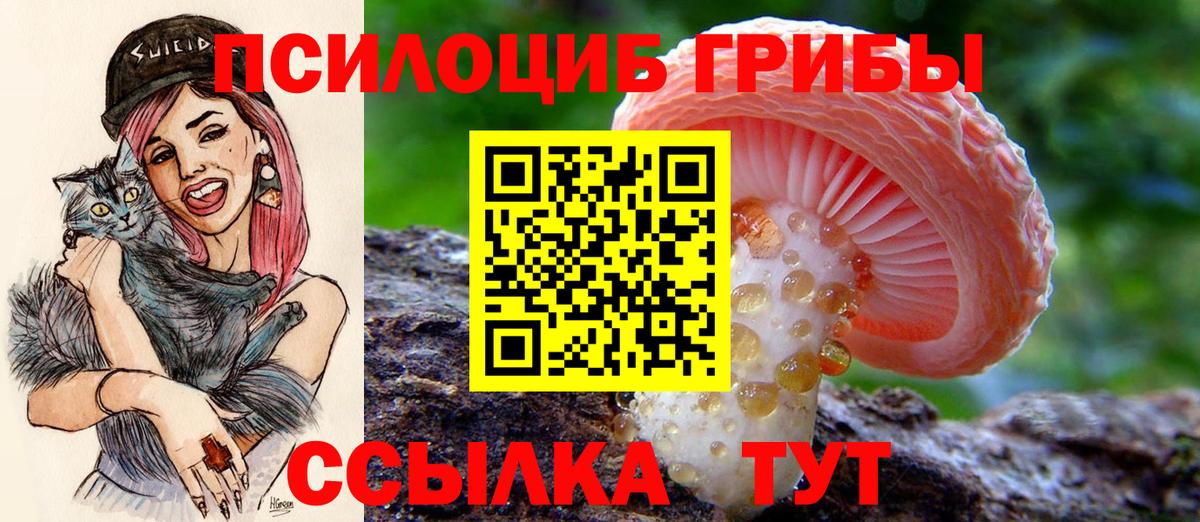 Псилоцибиновые грибы ЛСД Ачинск